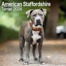 Avonside American Staffordshire Terrier 2024 Original [Mehrsprachig] [Kalender]