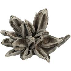 Vickerman 6 White Wash Star Pod Decoration