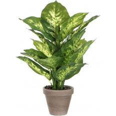 Mica Decorations Decoratieve items Mica Decorations Dieffenbachia Kunstplant 40 cm Groen