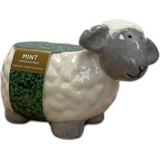 Pots, Plants & Cultivation Herb Planter Grow Your Own Corsican Mint Sheep