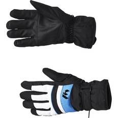 Azul Manoplas Whistler Rhett Ski Gloves Blue Unisex Alpinismo Azul