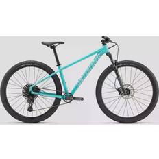 Specialized rockhopper expert 29 Specialized Rockhopper Expert 29" Lagoon XL