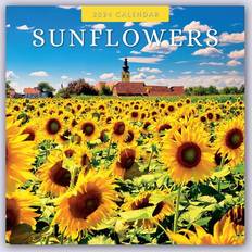 Yellow Calendars Sunflowers Sonnenblumen 2024 16-Monatskalender: Original Publishing [Mehrsprachig] [Kalender]