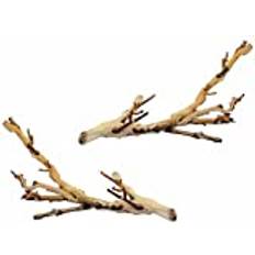 Exo Terra Forest Branch Small