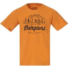 Bergans Classic V2 Tee Men - Golden Field