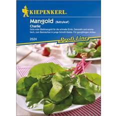 Blumensamen Kiepenkerl Mangold Charlie Beta vulgaris