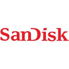 SanDisk HDD Festplatten SanDisk PROFESSIONAL G-DRIVE 8 TB Enterprise Festplatte USB-C 3.1 7200rpm