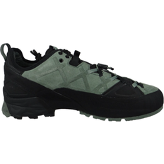 Rock DFS - Olive