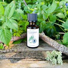 Massage- & Afslapningsprodukter Epic Oils 100% ren æterisk Eucalyptusolie Økologisk 30 ml
