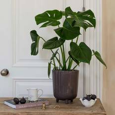 Speckled Planter Ceramic Lecce Plum