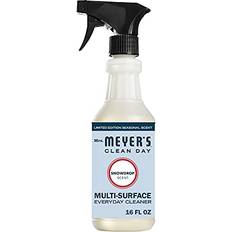 Clean Day Multi-Surface Everyday Cleaner Spray Holiday Scent