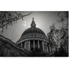 Interior Details Trademark Fine Art 'Under The Dome' Photographic Print on Wrapped Wall Decor