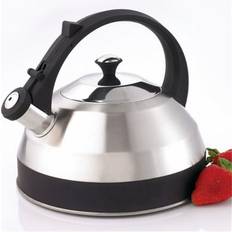 Ceramic Cooker Kettles Creative Home Steppes 2.8 Quart Steel Whistling Tea