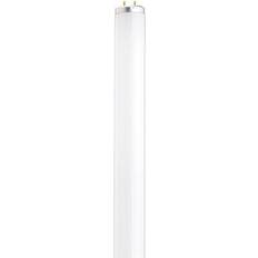 Light Bulbs Satco 26565 F20T12/CW S26565 Straight T12 Fluorescent Tube Light Bulb