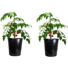 Kingfisher Garden 2 X Tomato Pot Planter Large 28Cm 12L