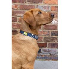 BUILT Pets Reflective Collar Medium