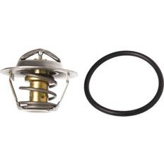 Thermostat Raw Water