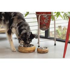 Designed by Lotte 2 in 1 wooden pet food bowl dogs, cats