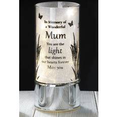 Indoor Lighting Christmas Lamps Studio Mum Memorial Tube Christmas Lamp