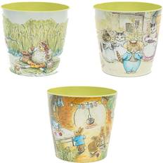 Beatrix Potter Rabbit Eco Set 2