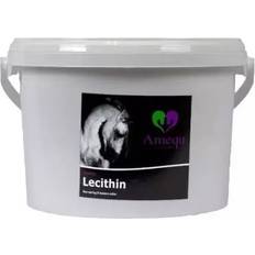 Lecithin Dangro Amequ Lecithin kg