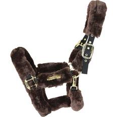 Imbracature per cavalli Kentucky Horsewear Halters