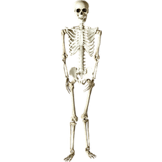 Hvid Skeletter Halloween Skeleton 90cm