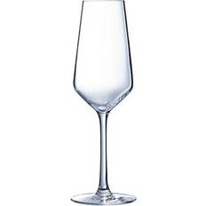 Arcoroc Champagneglas Arcoroc N5082 Vina Juliette Champagneglas 6st