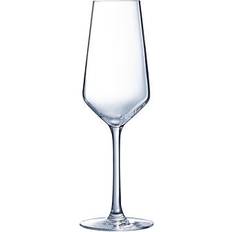 Arcoroc Champagneglas Arcoroc Vina Juliette Champagneglas 6stk
