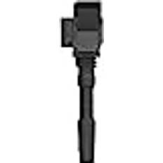 Delphi Ignition Coil GN10632-12B1