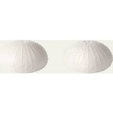 Aerin Ceramic Sea Urchin Salt Pepper Shakers Spice Mill