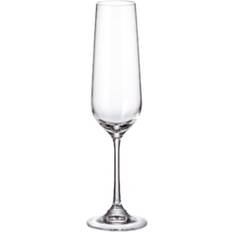 Bohemia Crystal Sira 6 Champagneglas