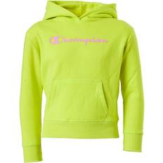 Champion Hoodies Champion Hooded Sweatshirt Sulphur Spring - Verde