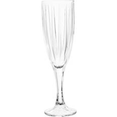 Beige Champagne Glasses Premier Housewares Beaufort Crystal Clear Champagne Glass