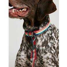 Joules Rainbow Stripe Dog Lead