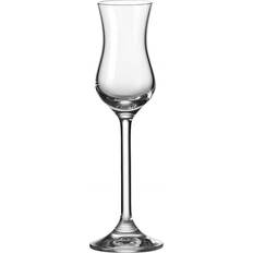 Céramique Lunettes Leonardo daily schnapskelch Drink-Glas