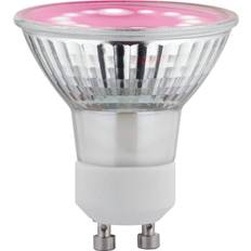 Paulmann 28974 LED RGB-lamp GU10 3.5 W B. [Levering: 14-21 dage]