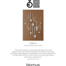 Blomus Stella Steel/ Serving Spoon