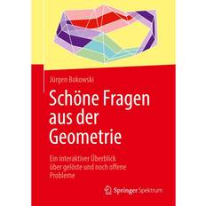PC-Spiele Schöne Fragen aus der Geometrie Jürgen Bokowski, Kartoniert