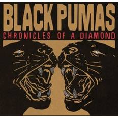 PC-Spiele Chronicles Of A Diamond