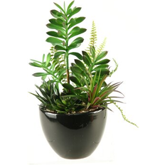 Haver & Udemiljøer Columbia D&W Silks Artificial Succulent, Aloe and Echeveria in Round Ceramic Planter