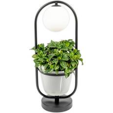 Lindby Bordslampor Lindby Orna Bordslampa