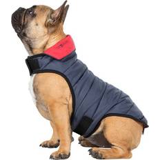 Trespass Flint Reversible Packaway Dog Jacket Kimmi