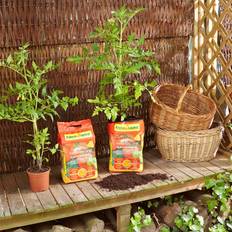 Floragard Aktiv Tomaten- Gemüseerde 3 20