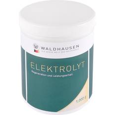Ridesport Waldhausen Electrolyt, Powder kg