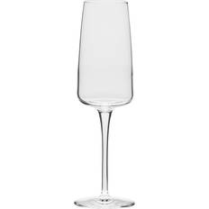 Bormioli Rocco Champagneglas Bormioli Rocco Nexo 24 cl 6-pak Champagneglas