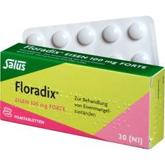 Floradix Vitamine & Mineralien Floradix Iron 100mg Forte 20 Stk.