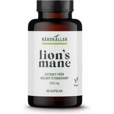 Bättre hälsa Lion's Mane 30g 90 stk