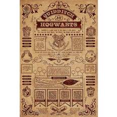 Brown Posters Harry Potter Quidditch Poster