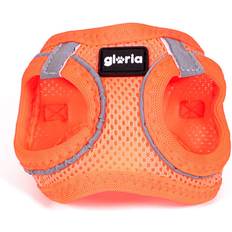 Gloria Hundsele Trek Star 24-26 Orange